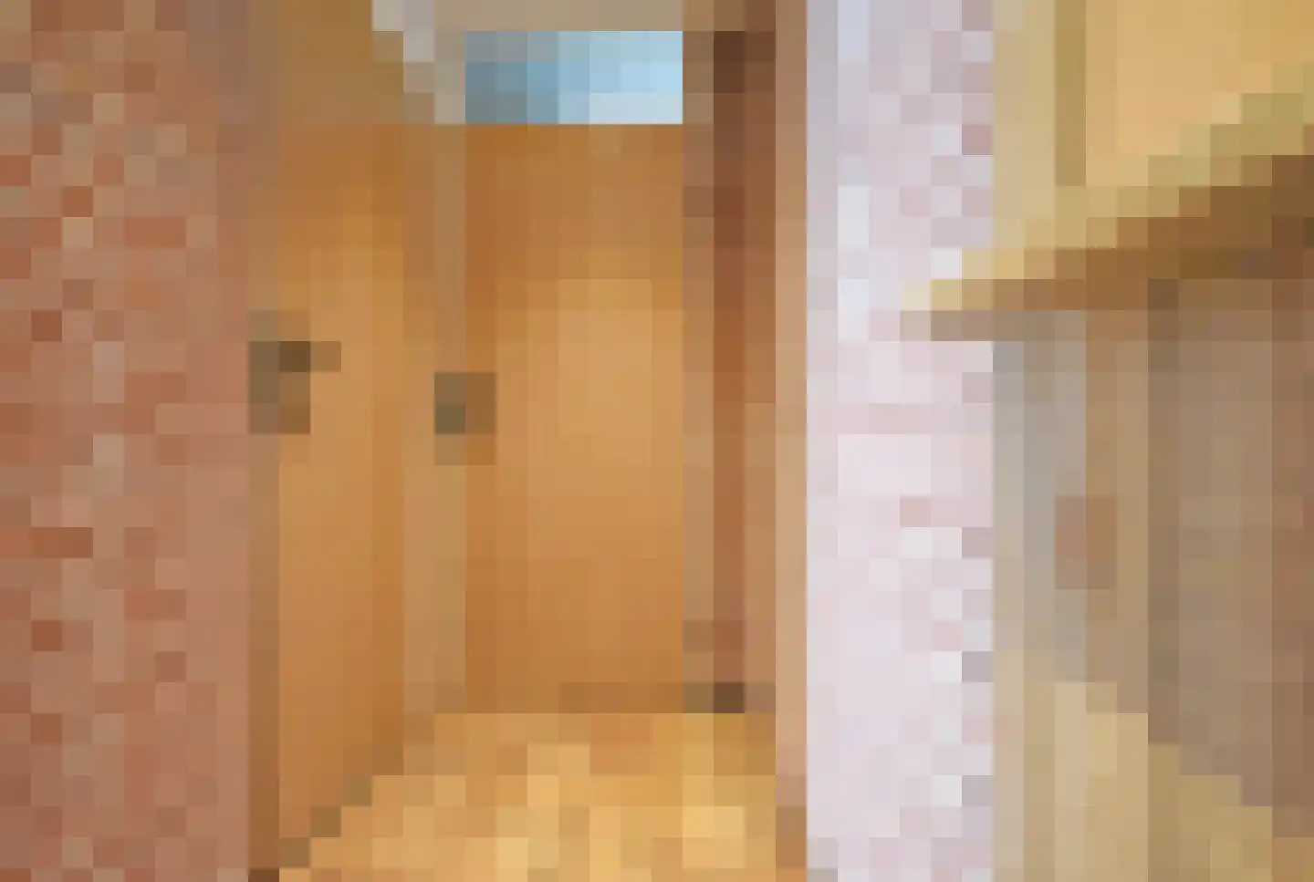 De Swette 15 Feanwâlden thumbnail 58
