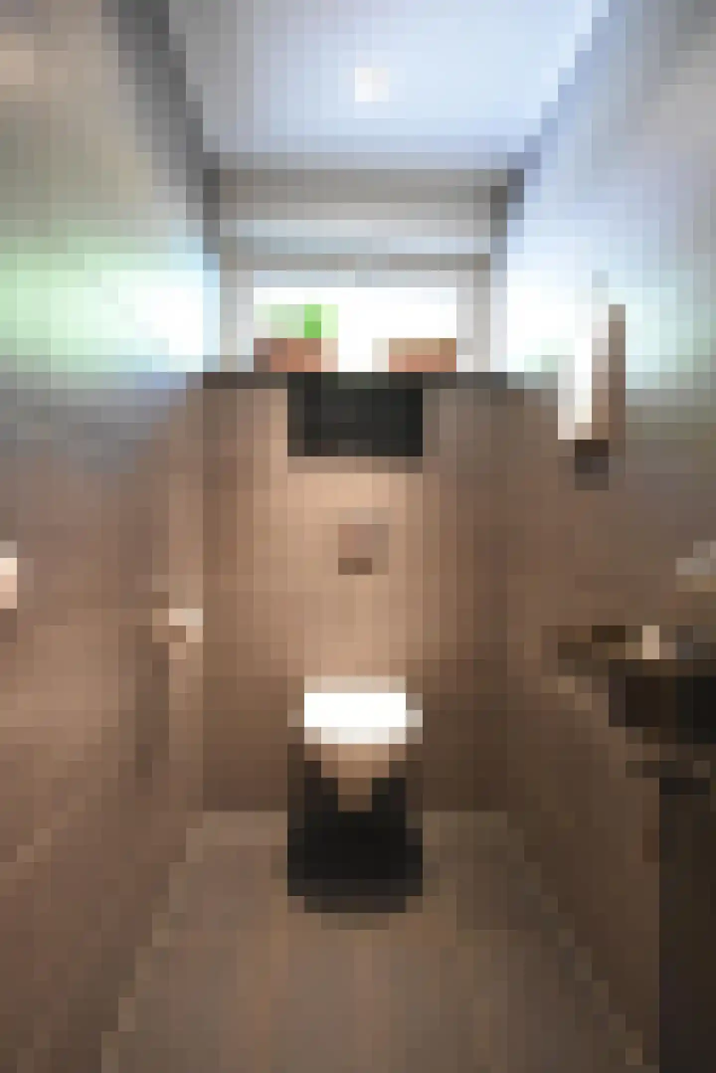 De Swette 15 Feanwâlden thumbnail 59