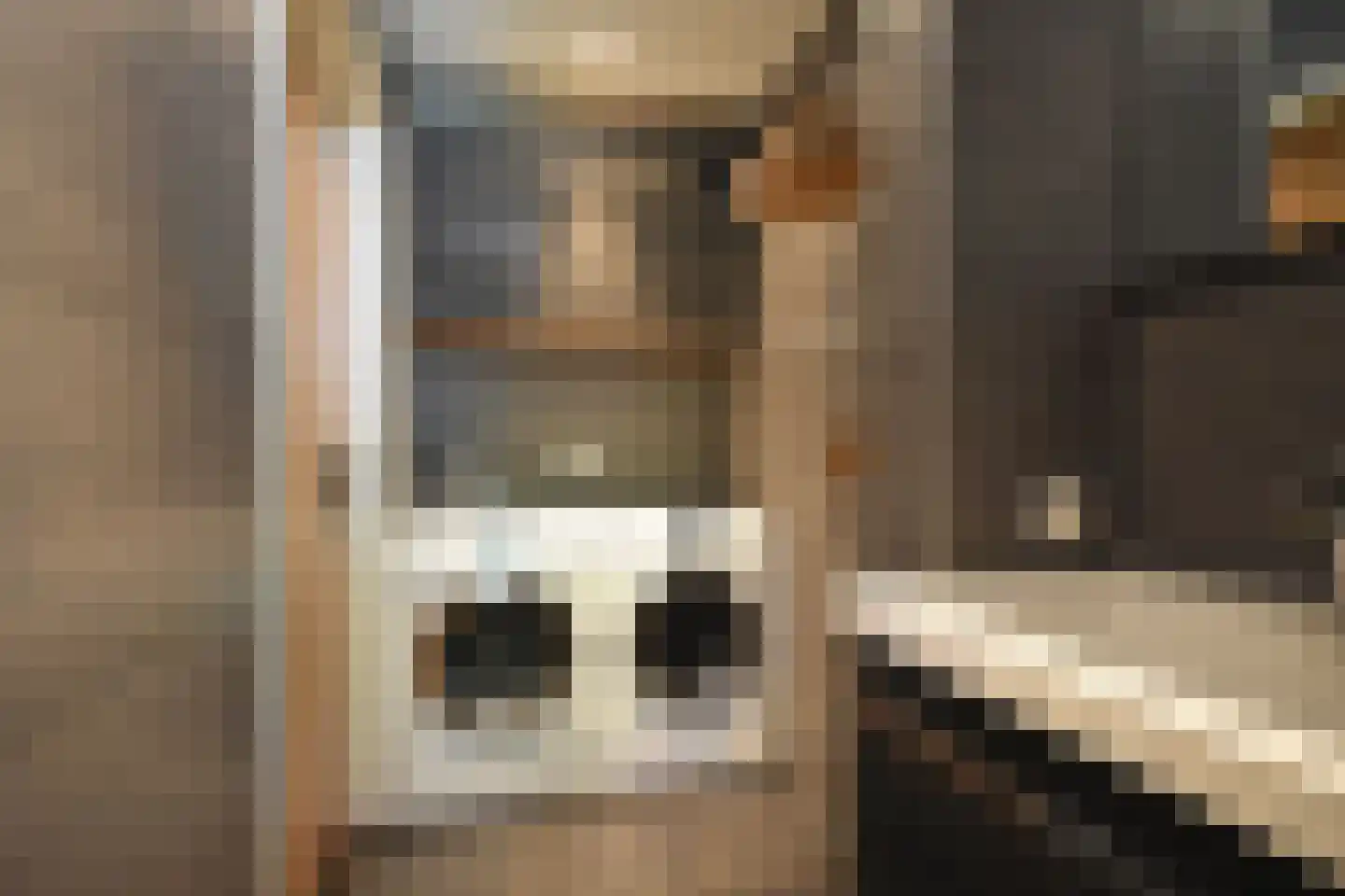 De Swette 15 Feanwâlden thumbnail 61