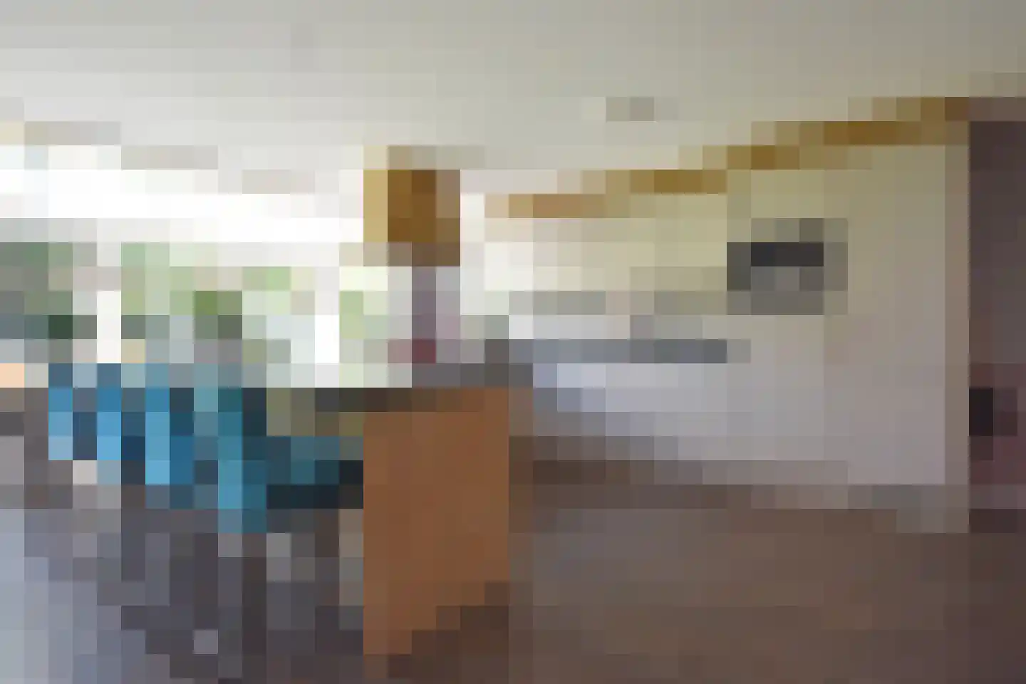 De Swette 15 Feanwâlden thumbnail 64