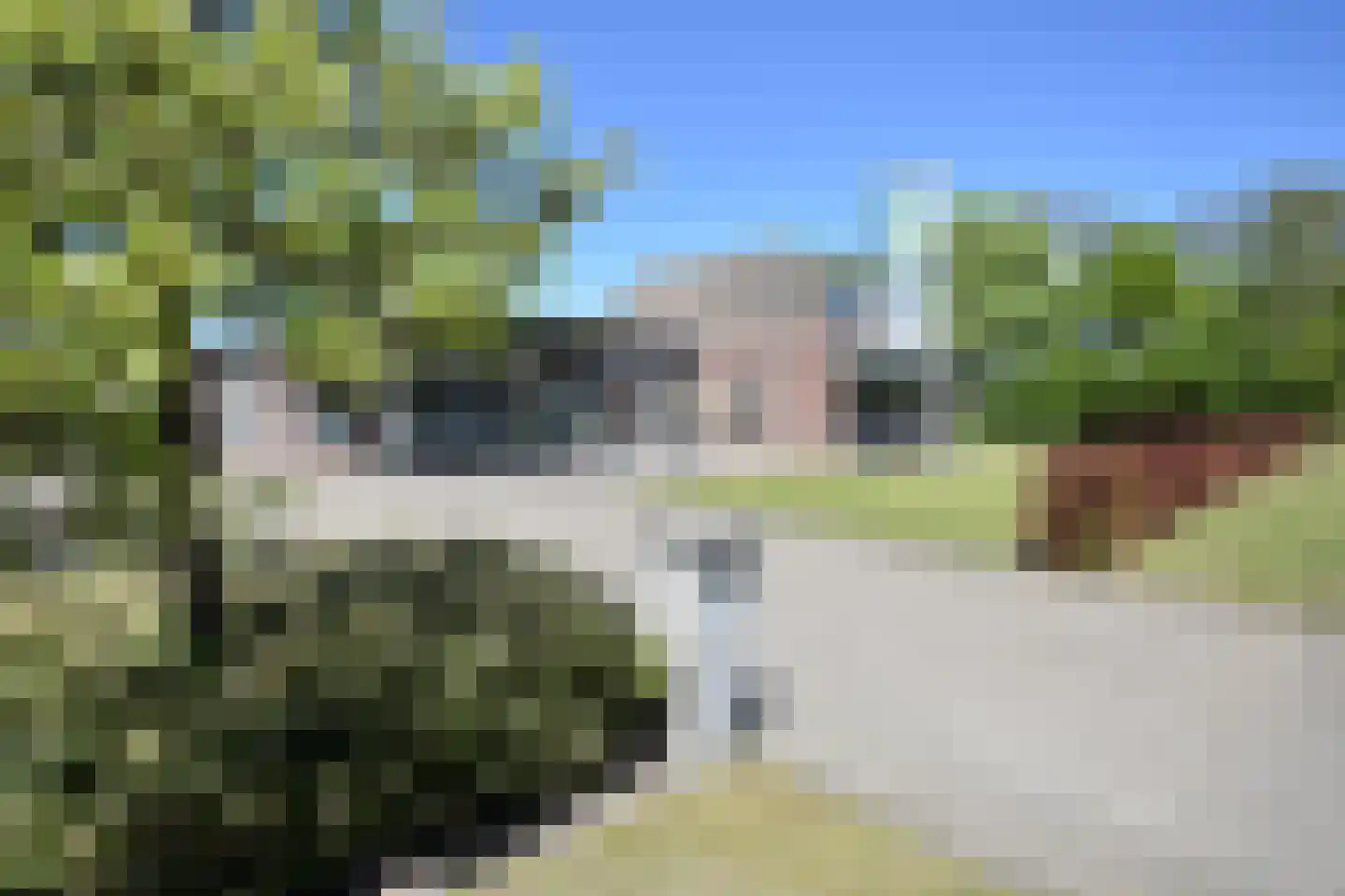 De Swette 15 Feanwâlden thumbnail 7