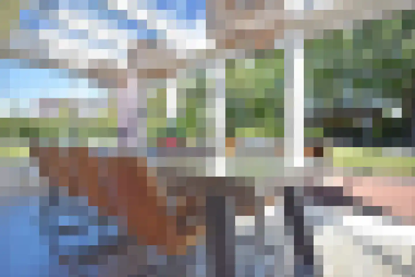 De Swette 15 Feanwâlden thumbnail 70
