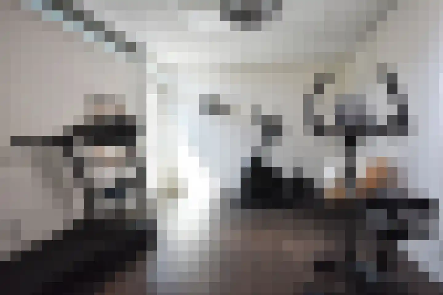 De Swette 15 Feanwâlden thumbnail 76
