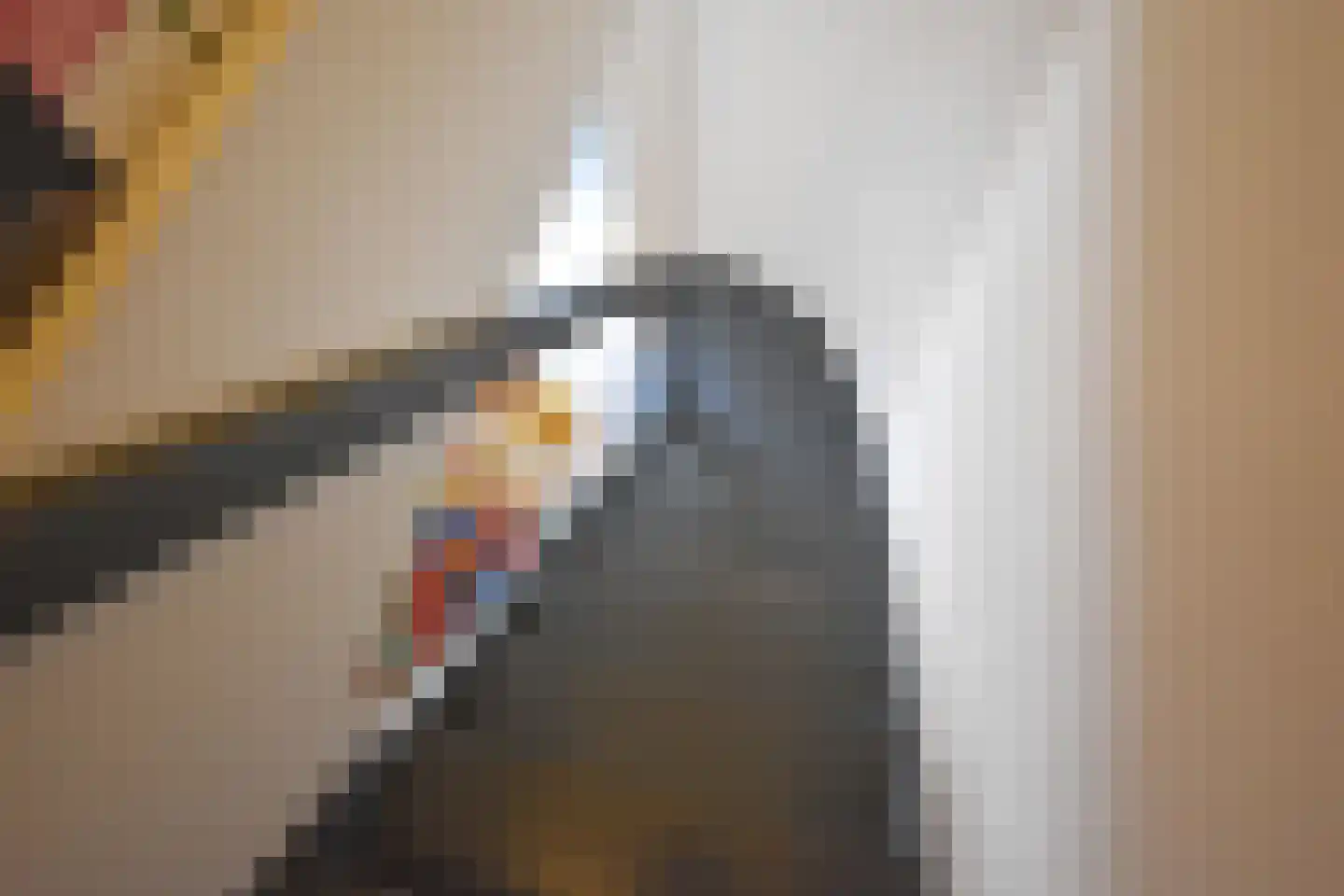 De Swette 15 Feanwâlden thumbnail 83
