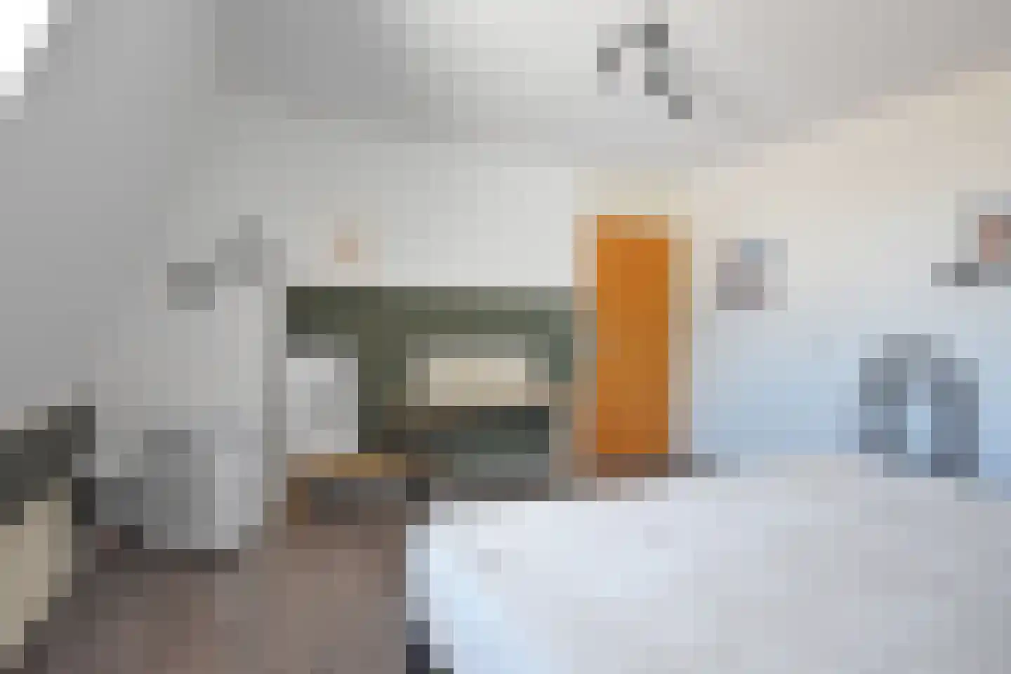 De Swette 15 Feanwâlden thumbnail 88