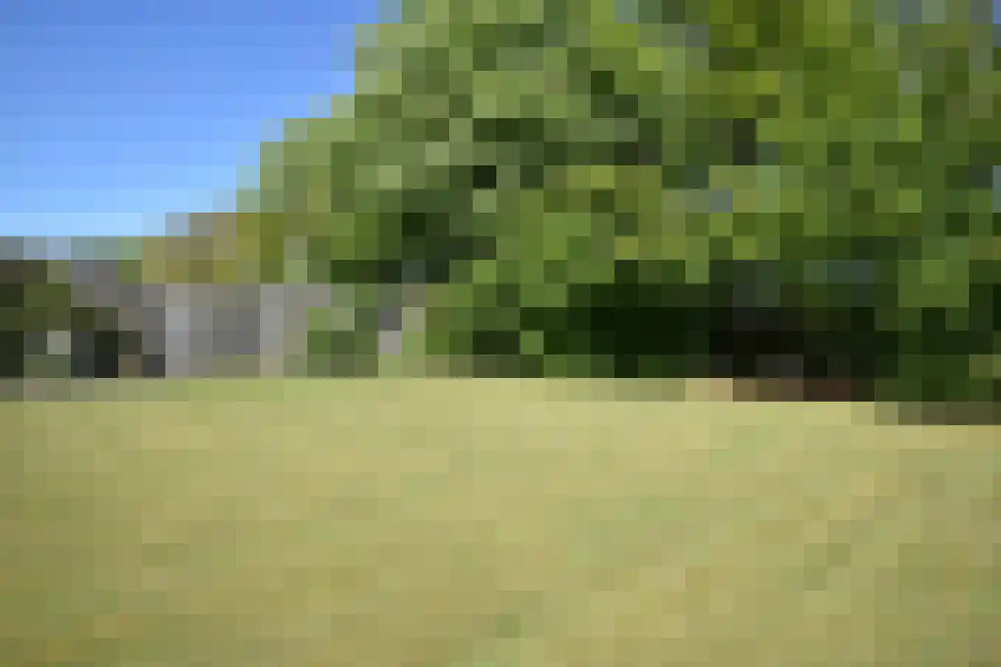 De Swette 15 Feanwâlden thumbnail 9