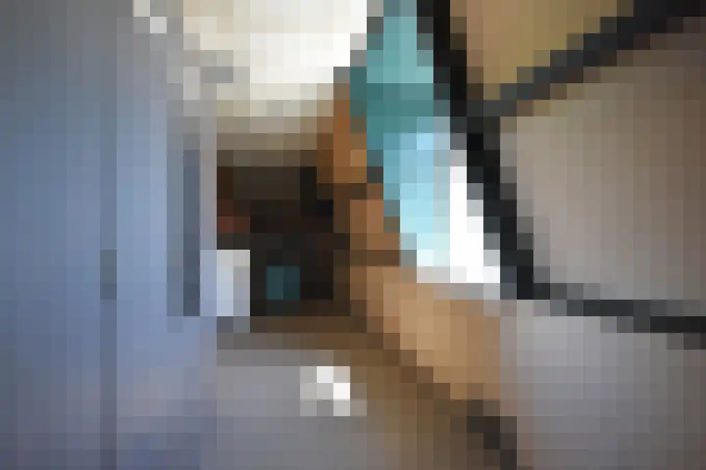 De Swette 15 Feanwâlden thumbnail 91