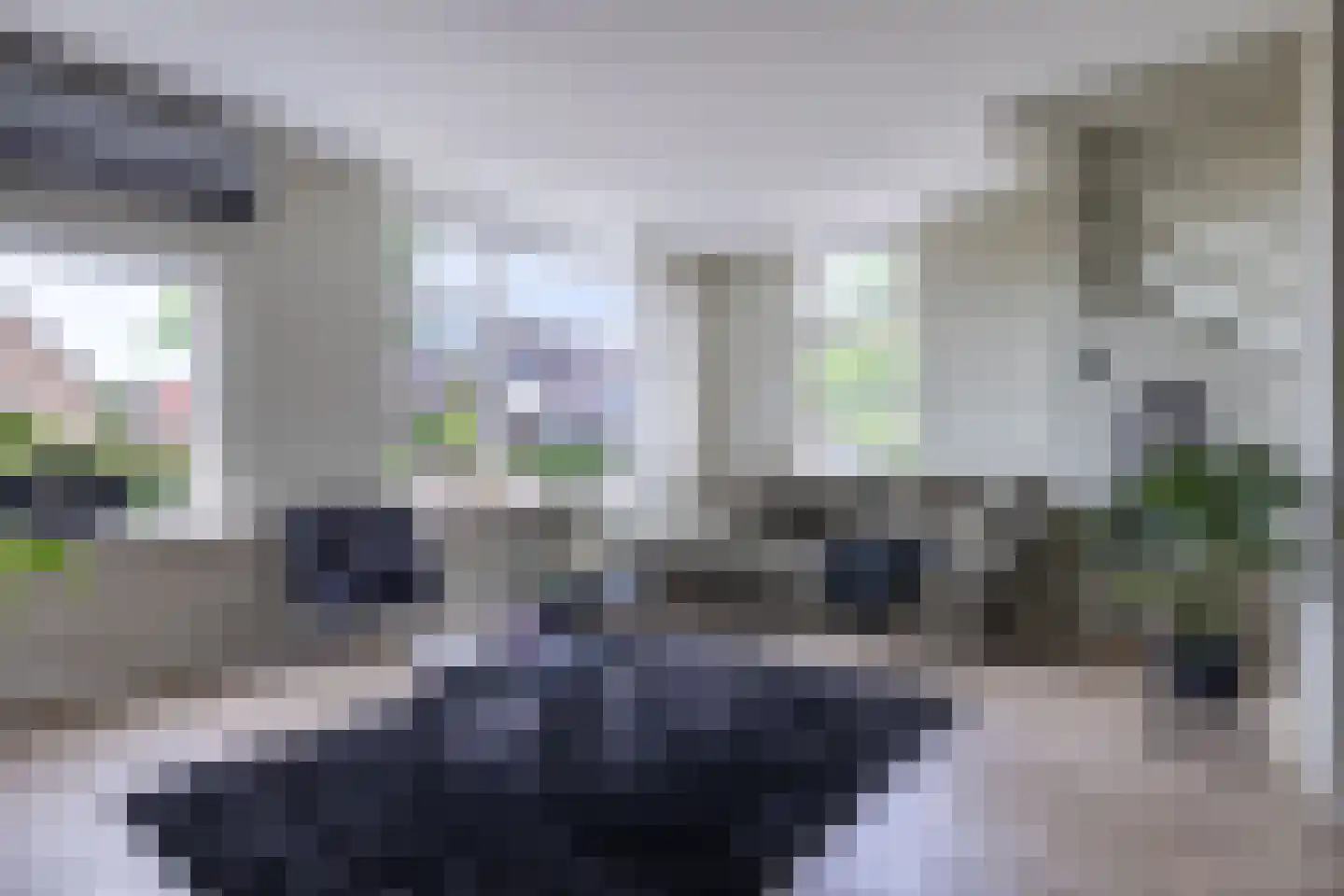 De Swingel 12 Menaam thumbnail 14