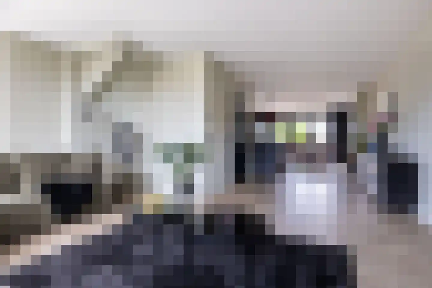 De Swingel 12 Menaam thumbnail 15