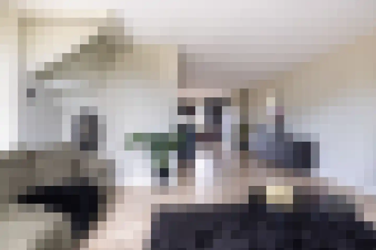De Swingel 12 Menaam thumbnail 16