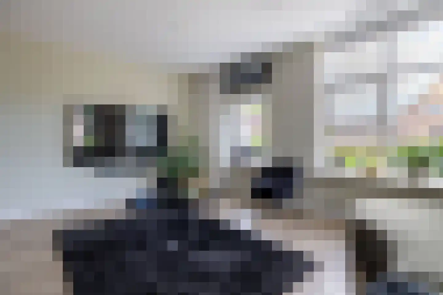 De Swingel 12 Menaam thumbnail 17