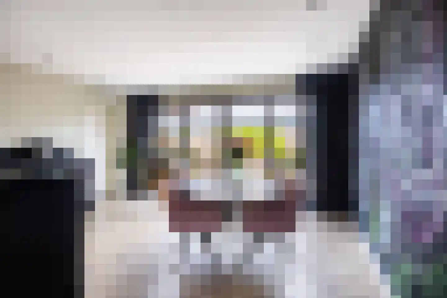 De Swingel 12 Menaam thumbnail 20