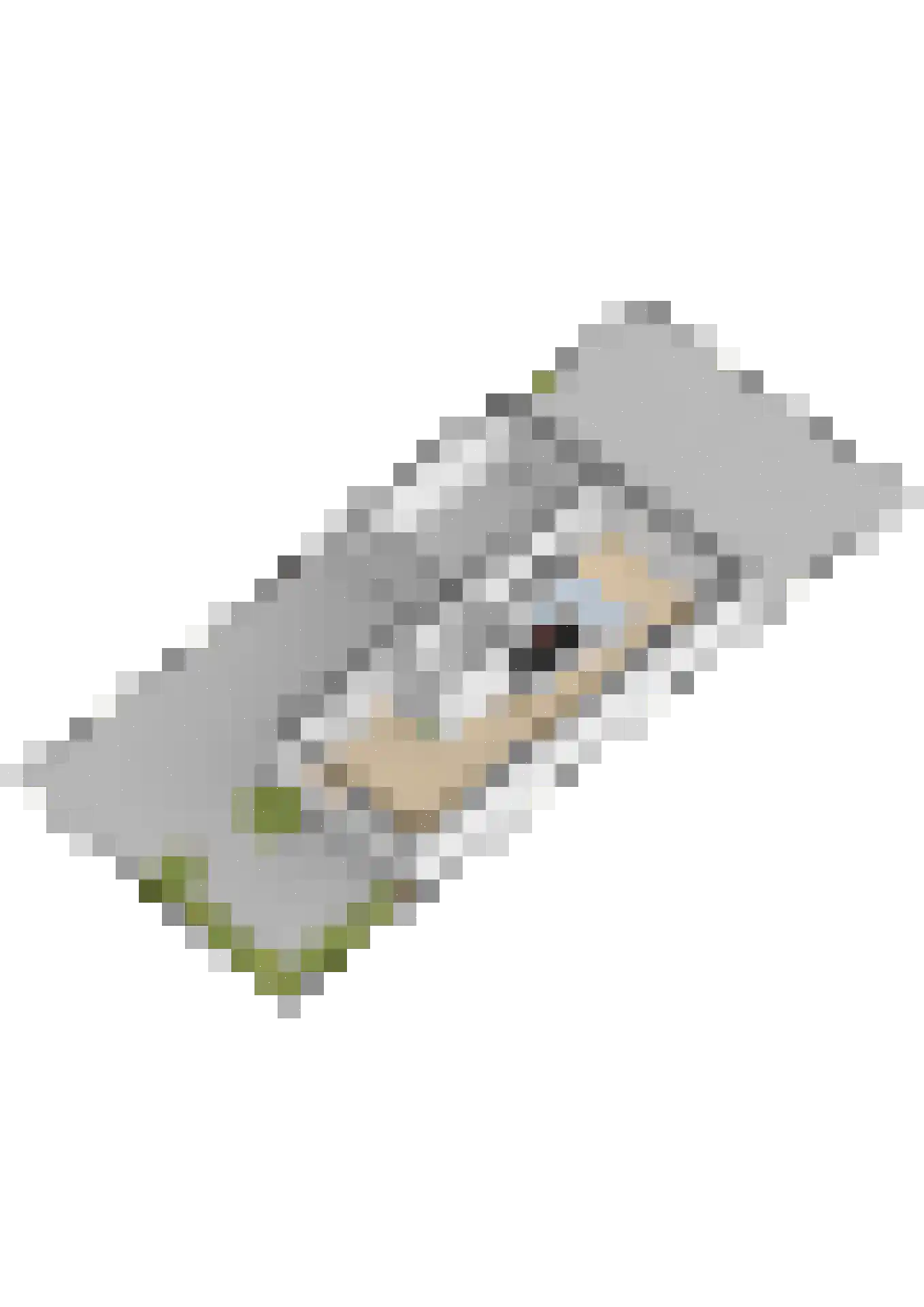 De Swingel 12 Menaam thumbnail 56