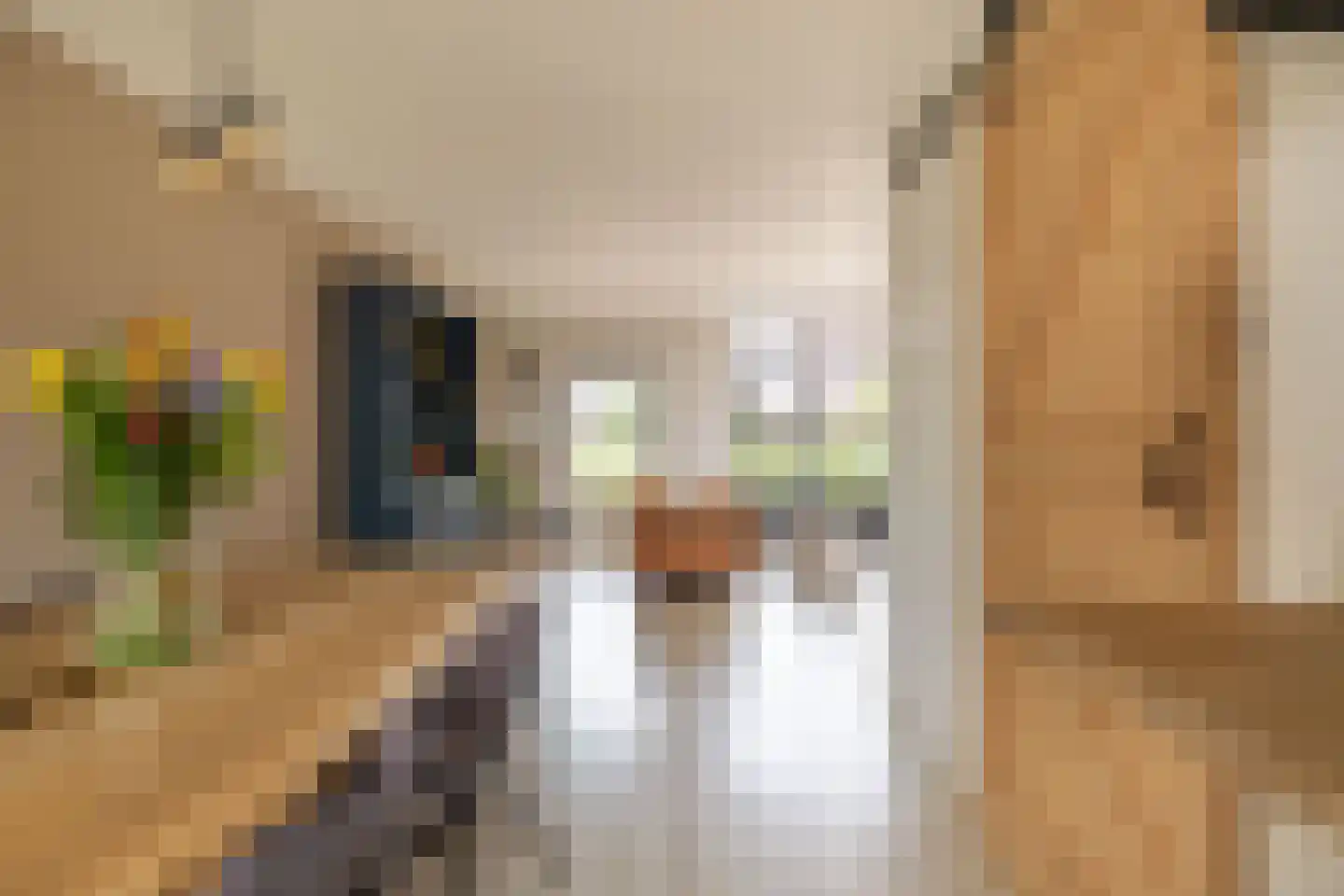 De Swingel 16 Menaam thumbnail 15