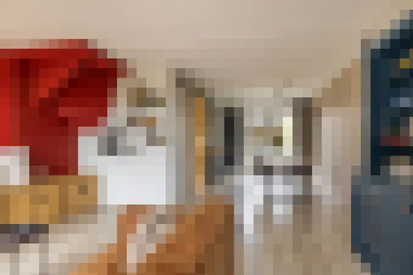 De Swingel 16 Menaam thumbnail 20