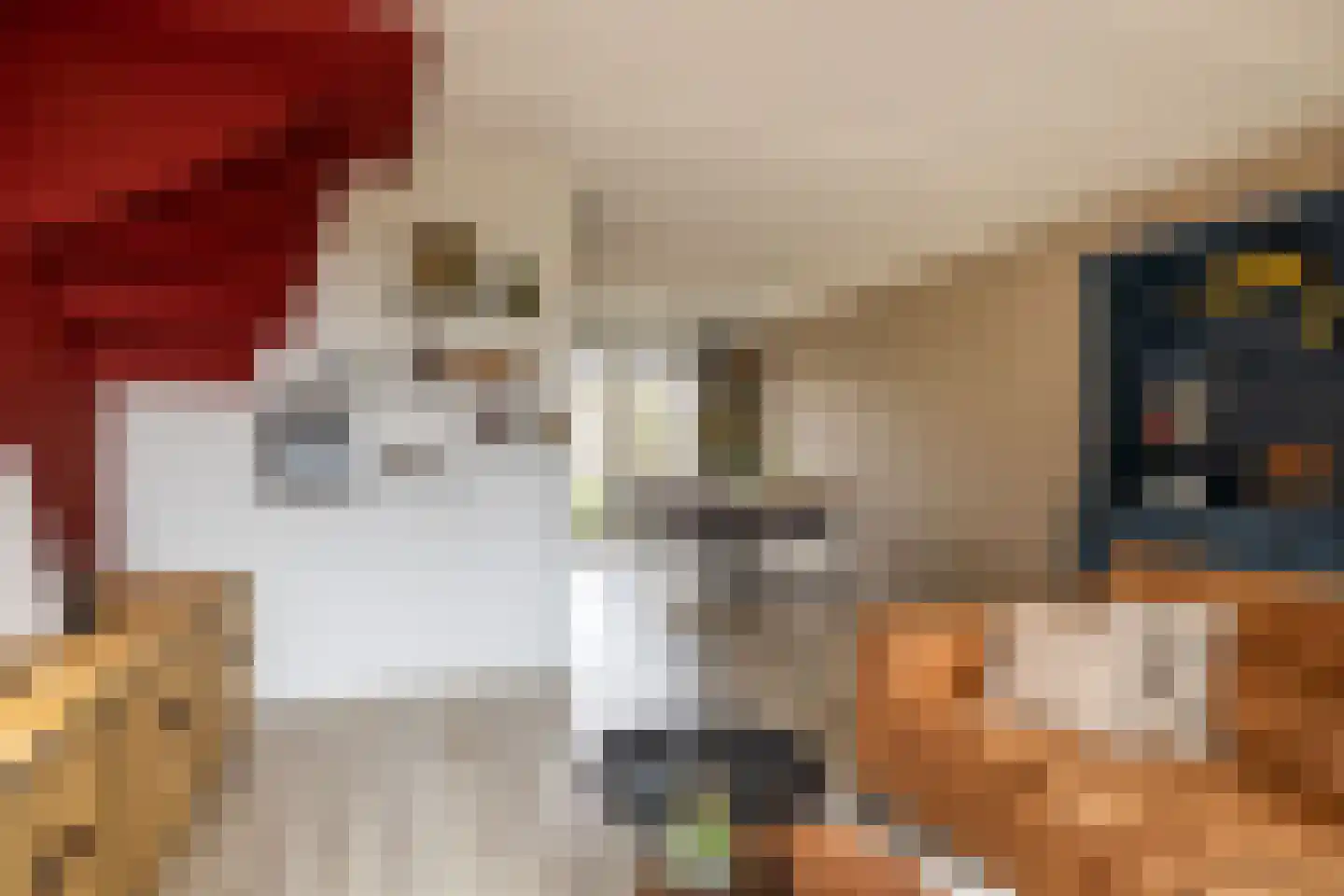 De Swingel 16 Menaam thumbnail 21