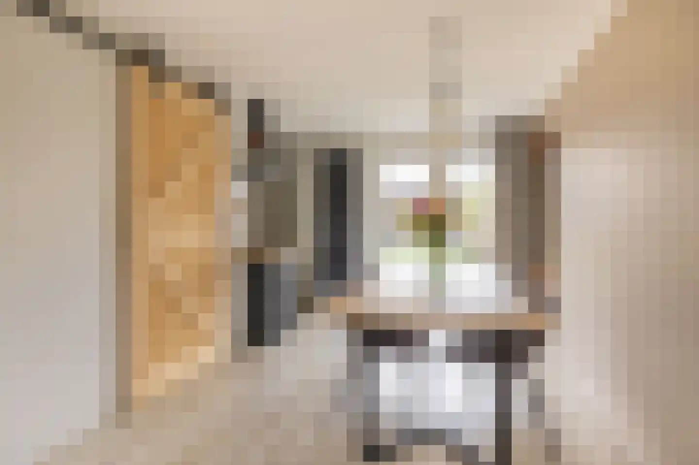 De Swingel 16 Menaam thumbnail 24