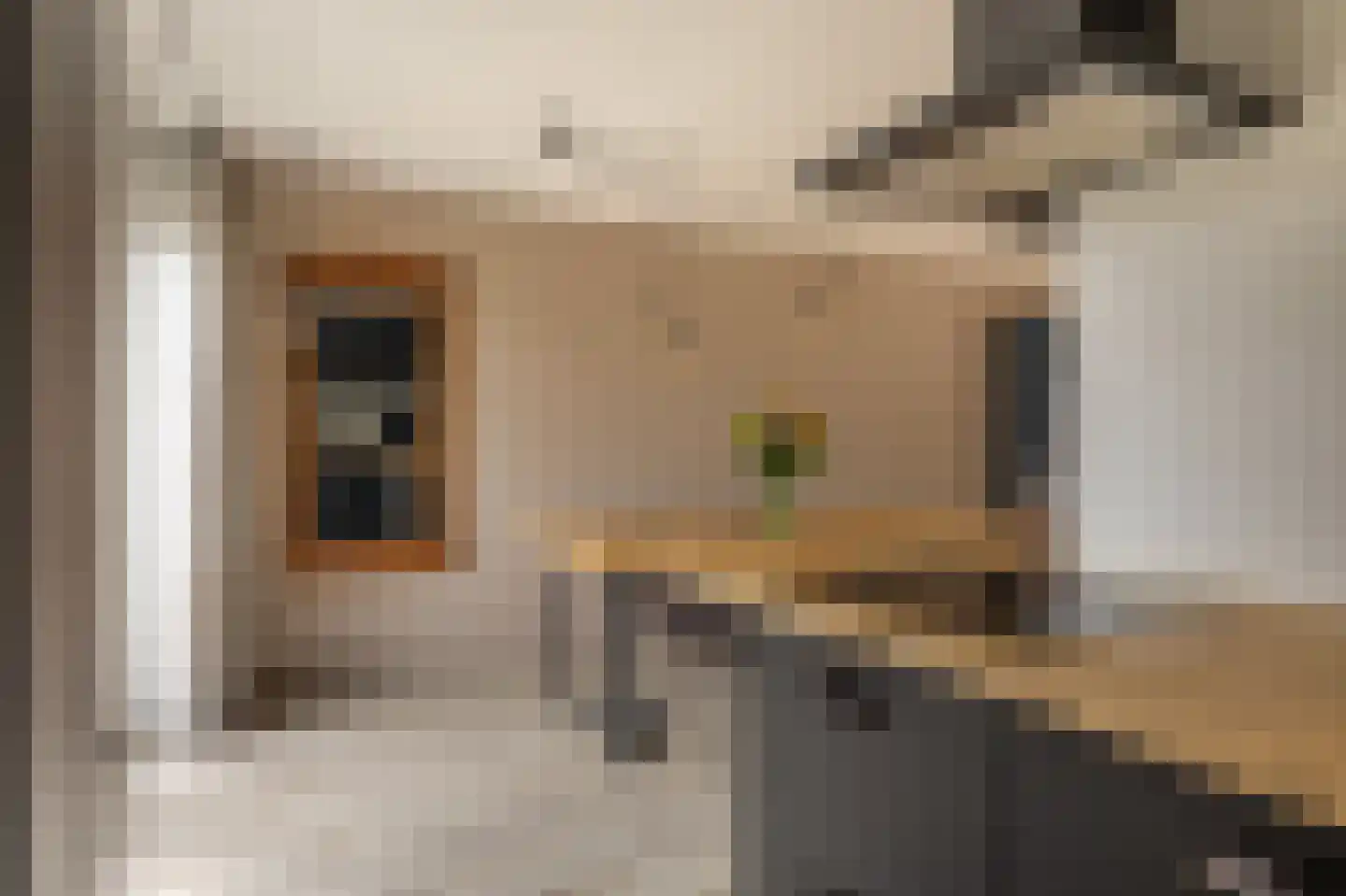 De Swingel 16 Menaam thumbnail 29