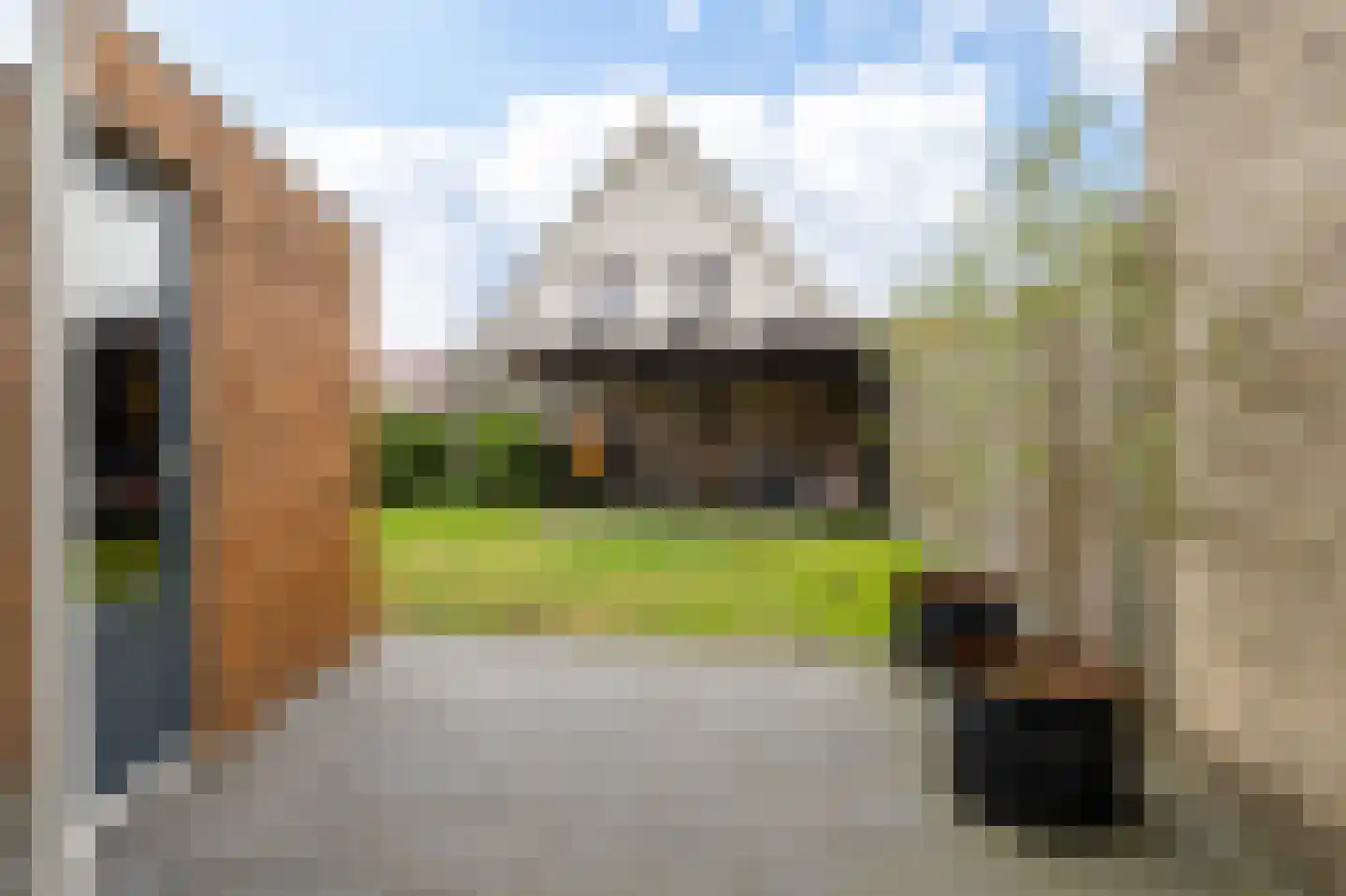 De Swingel 16 Menaam thumbnail 47