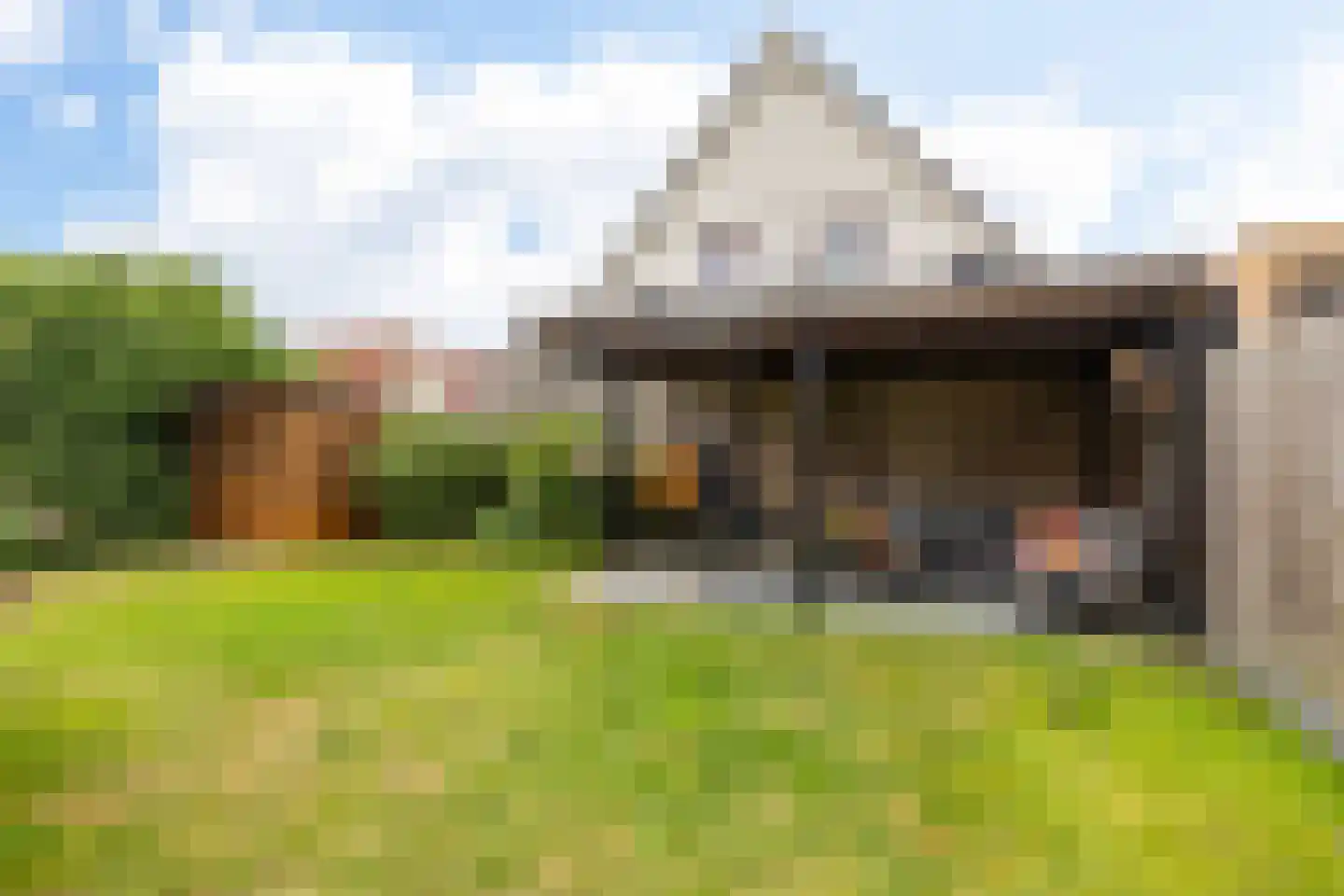 De Swingel 16 Menaam thumbnail 48
