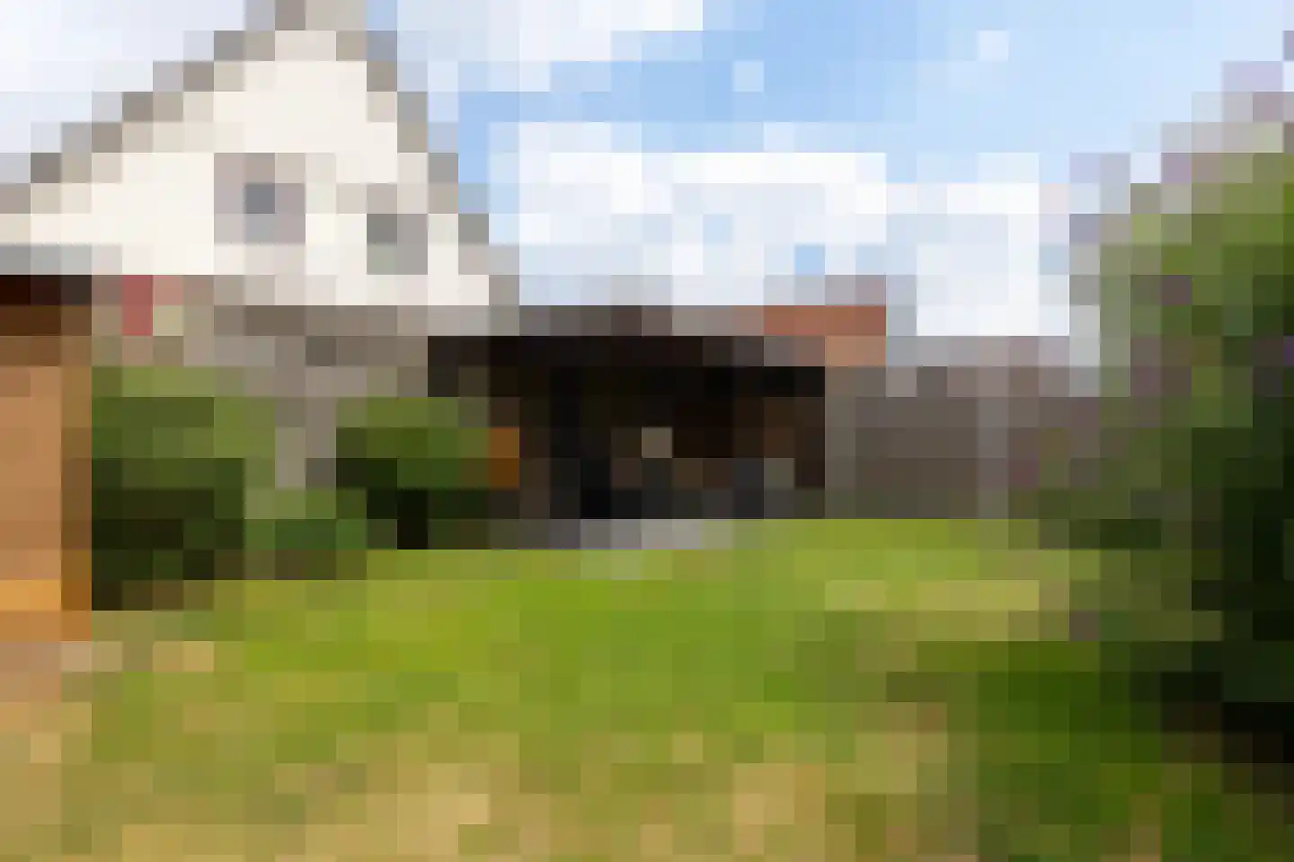 De Swingel 16 Menaam thumbnail 54