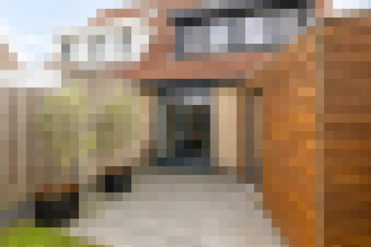 De Swingel 16 Menaam thumbnail 56
