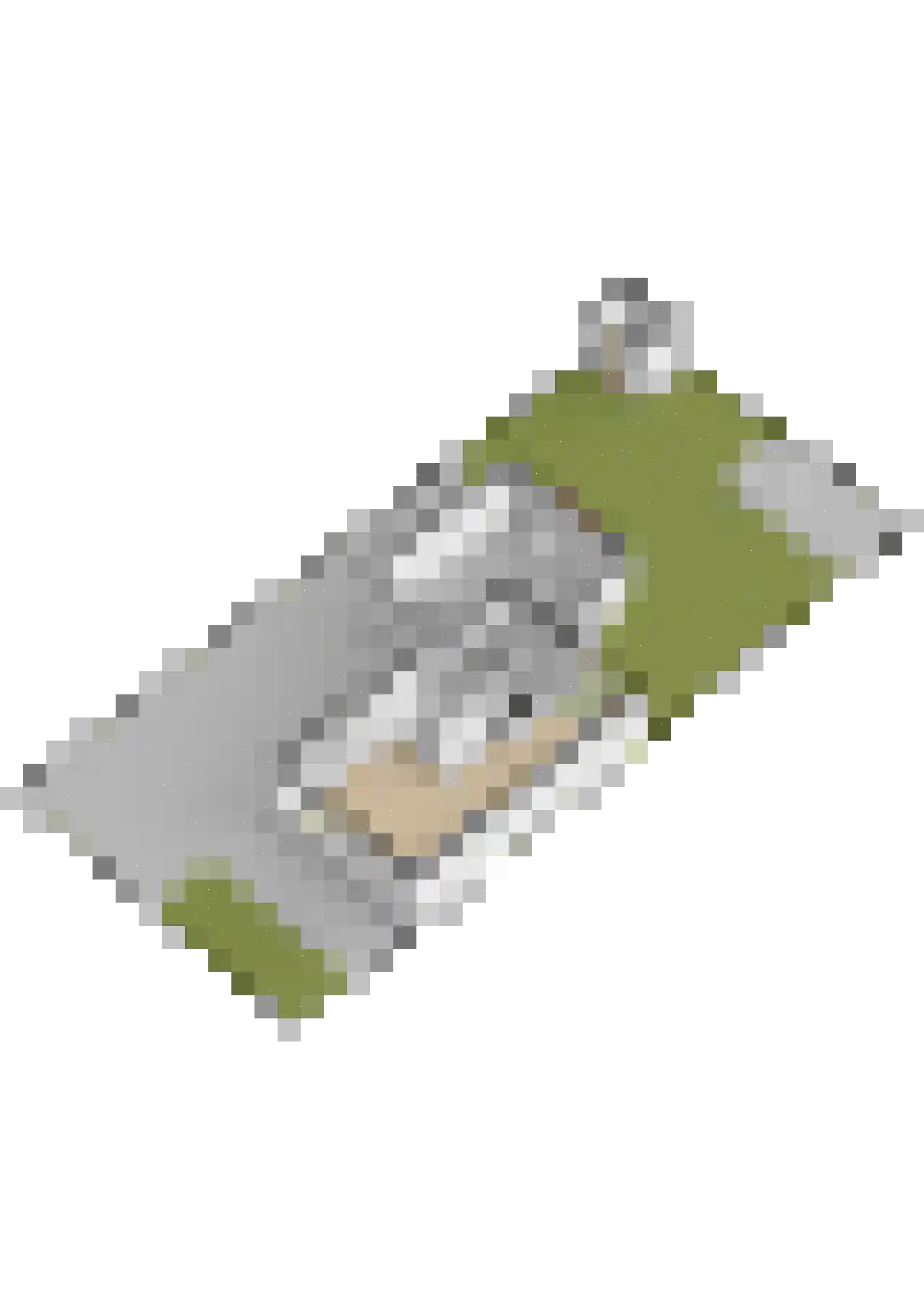 De Swingel 16 Menaam thumbnail 66