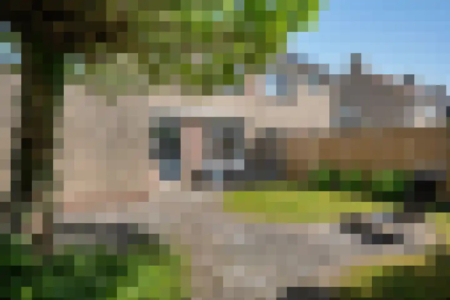 de Swurden 34 Heerenveen thumbnail 36