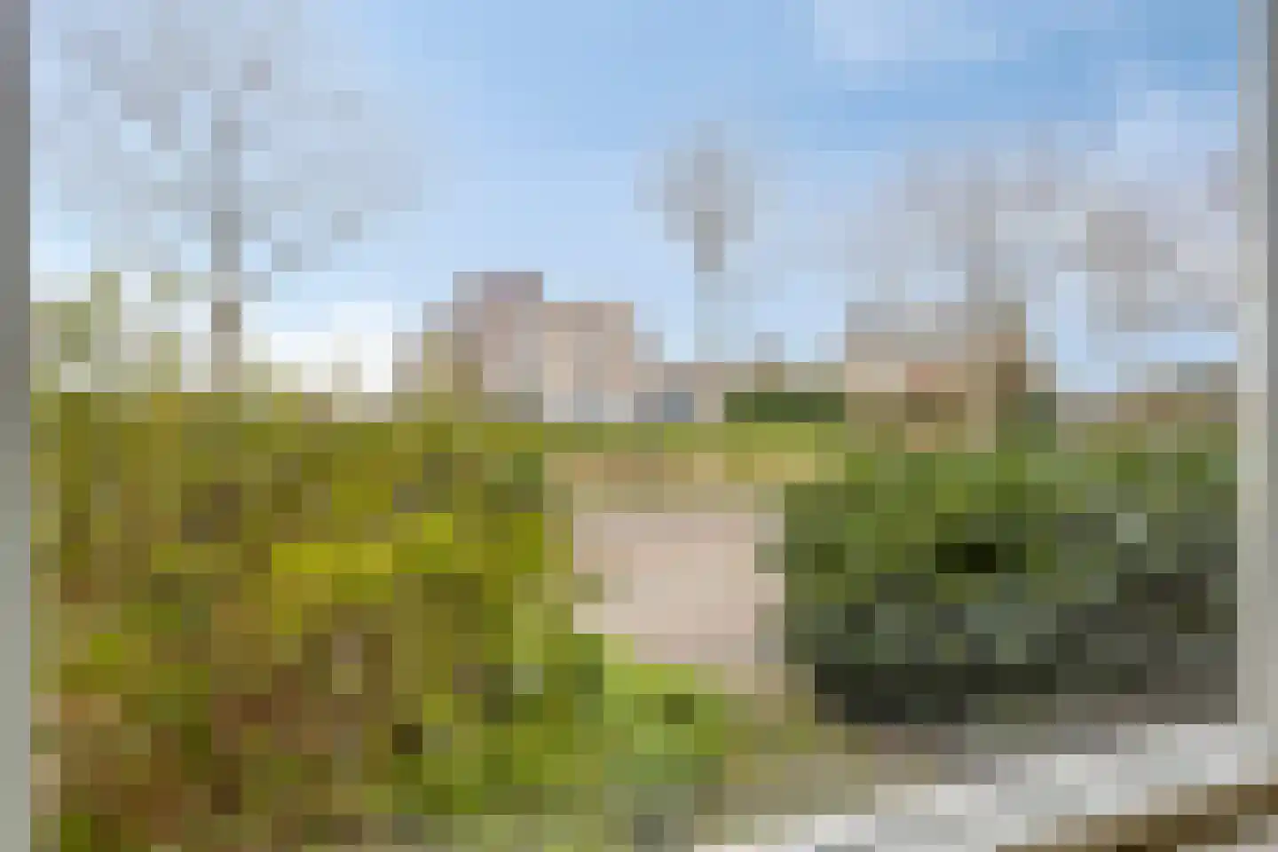 de Swurden 8 Heerenveen thumbnail 39