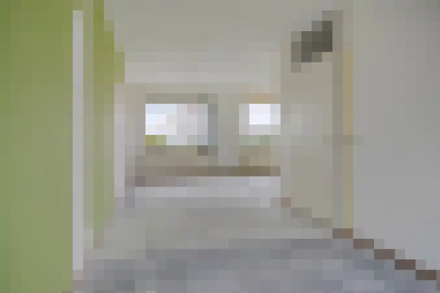 de Swurden 8 Heerenveen thumbnail 6