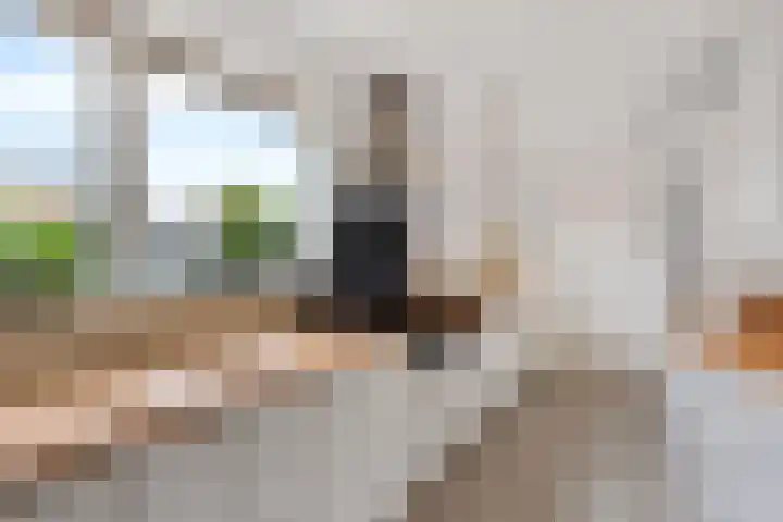 De Sylroede 4 Blauwhuis thumbnail 11