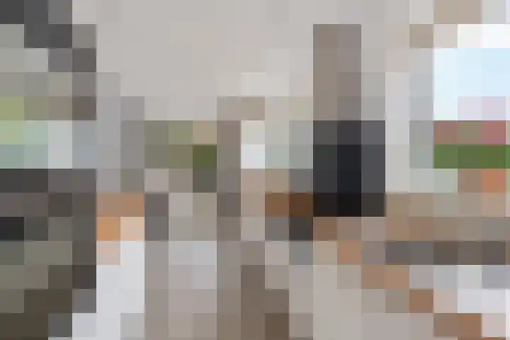 De Sylroede 4 Blauwhuis thumbnail 12