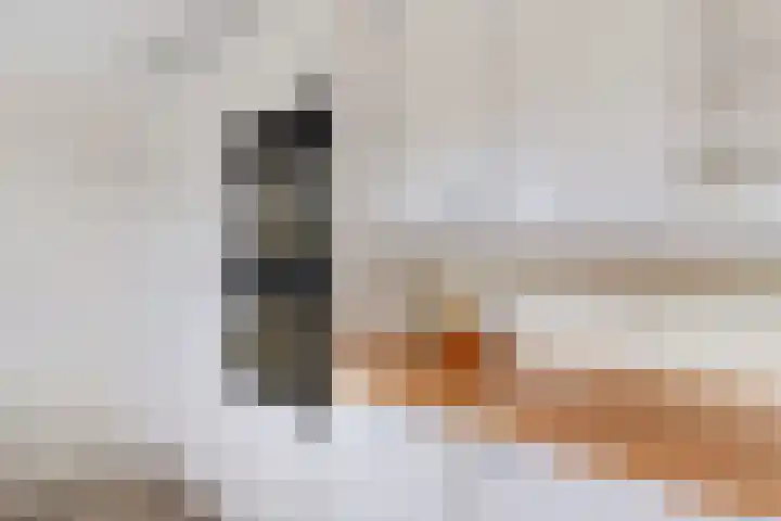 De Sylroede 4 Blauwhuis thumbnail 13