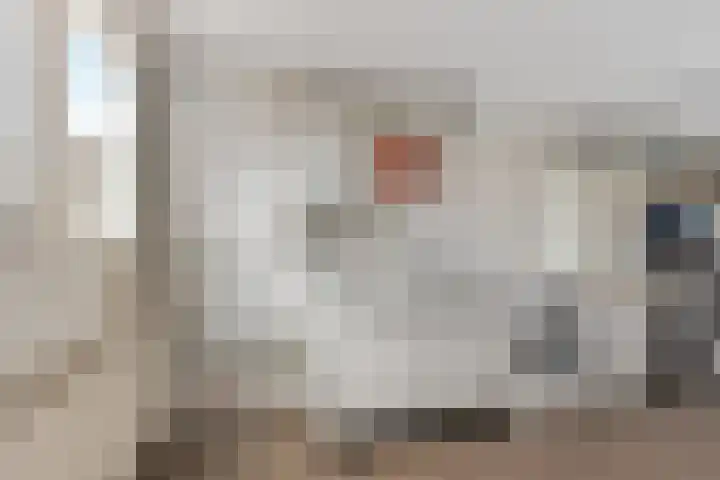 De Sylroede 4 Blauwhuis thumbnail 15