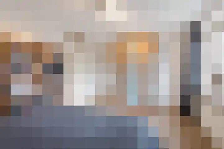 De Sylroede 4 Blauwhuis thumbnail 20