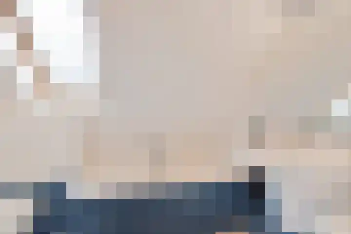 De Sylroede 4 Blauwhuis thumbnail 21