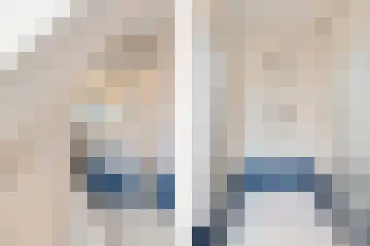 De Sylroede 4 Blauwhuis thumbnail 22