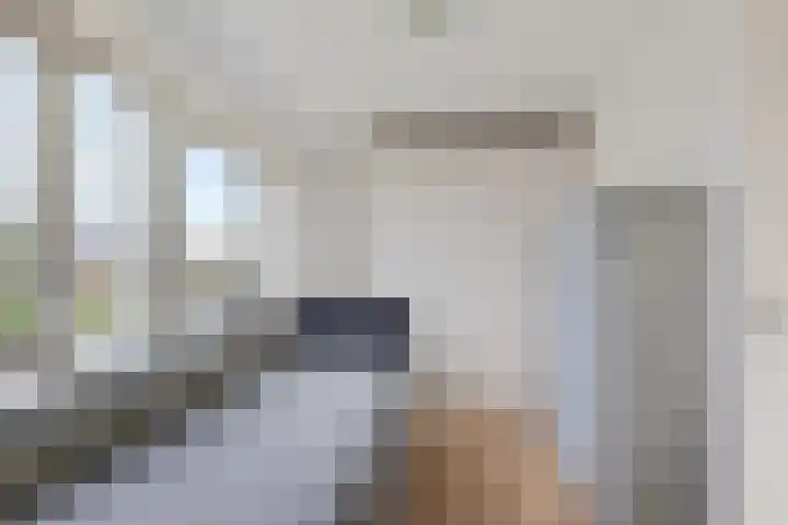 De Sylroede 4 Blauwhuis thumbnail 23