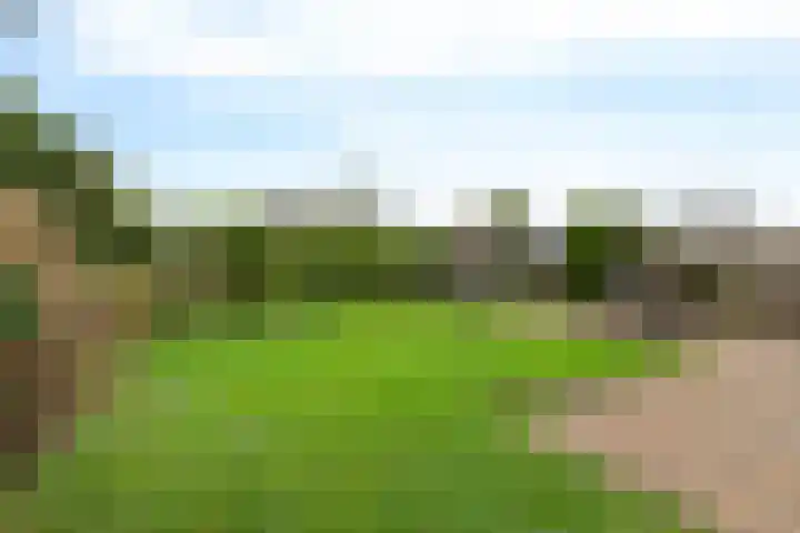 De Sylroede 4 Blauwhuis thumbnail 28