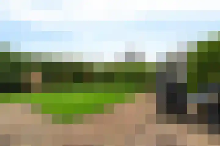 De Sylroede 4 Blauwhuis thumbnail 29