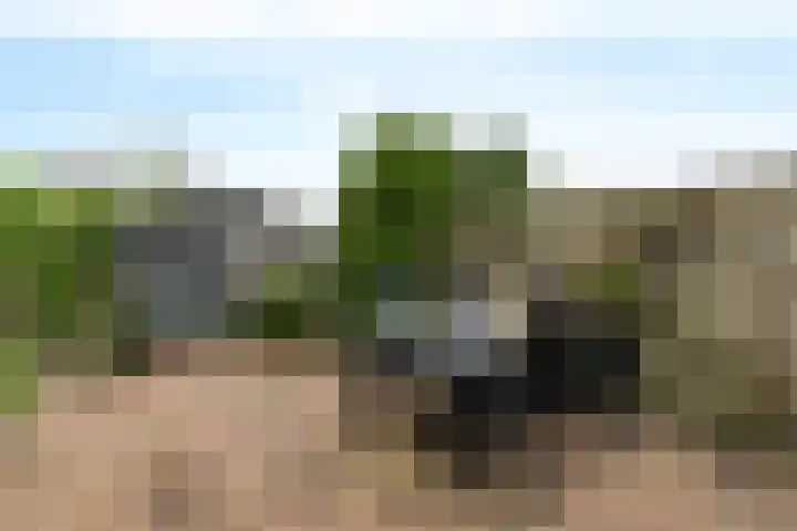 De Sylroede 4 Blauwhuis thumbnail 30
