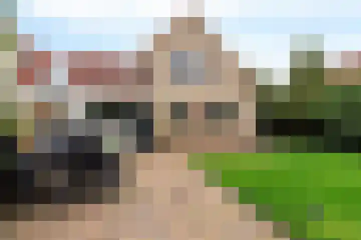 De Sylroede 4 Blauwhuis thumbnail 32