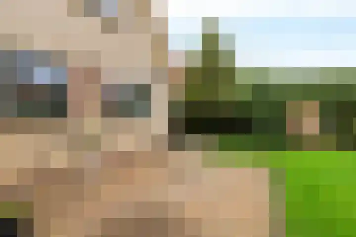 De Sylroede 4 Blauwhuis thumbnail 33