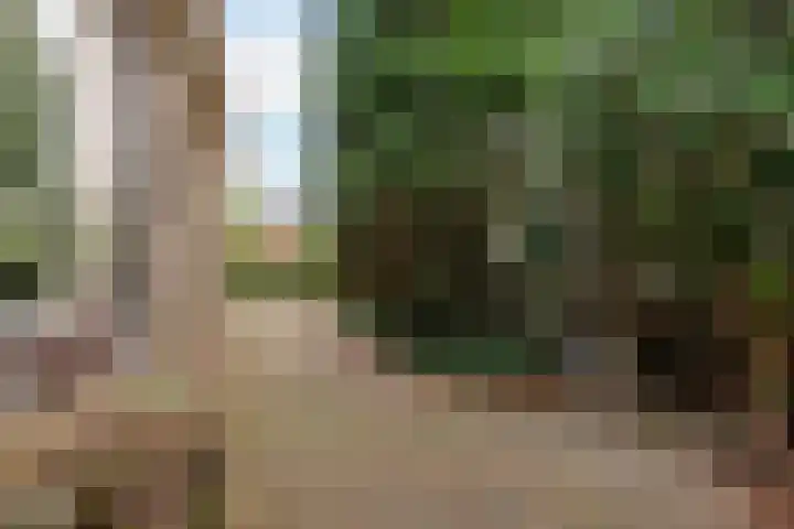 De Sylroede 4 Blauwhuis thumbnail 34
