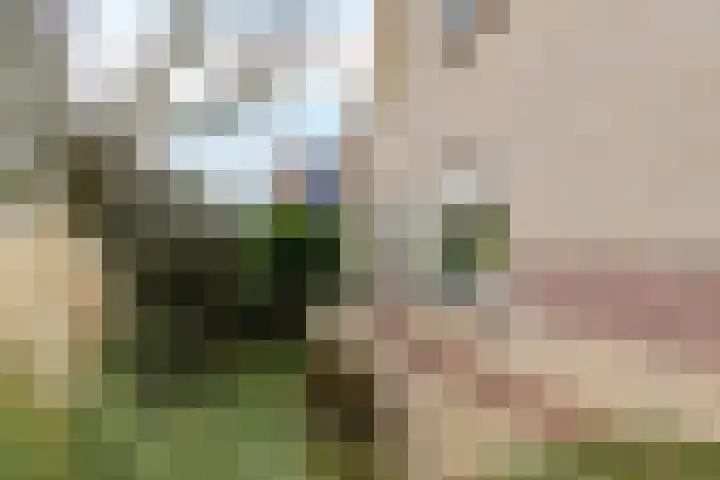 De Sylroede 4 Blauwhuis thumbnail 35