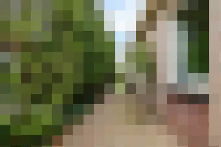 De Sylroede 4 Blauwhuis thumbnail 36