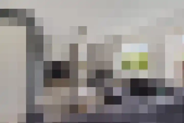 De Sylroede 4 Blauwhuis thumbnail 4