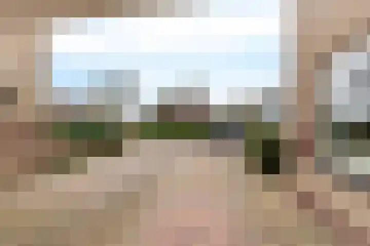 De Sylroede 4 Blauwhuis thumbnail 40