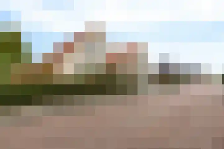 De Sylroede 4 Blauwhuis thumbnail 42