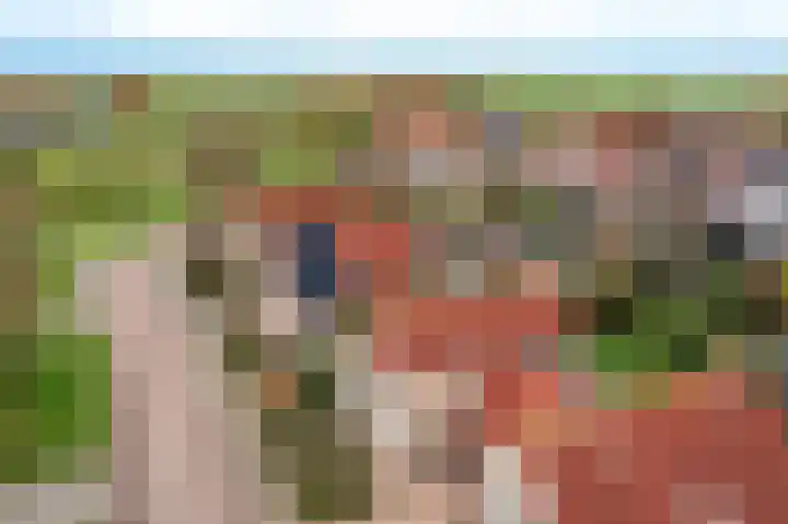 De Sylroede 4 Blauwhuis thumbnail 45